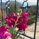 Grandmother's House *