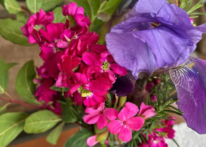 Grandmother's House 펜션 *