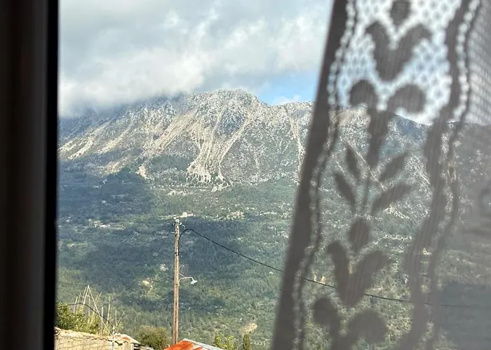 Grandmother's House *