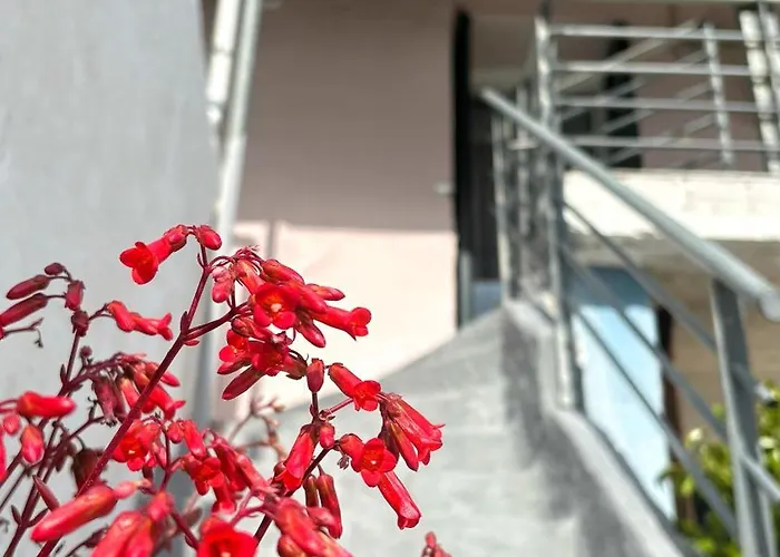 펜션 Grandmother's House